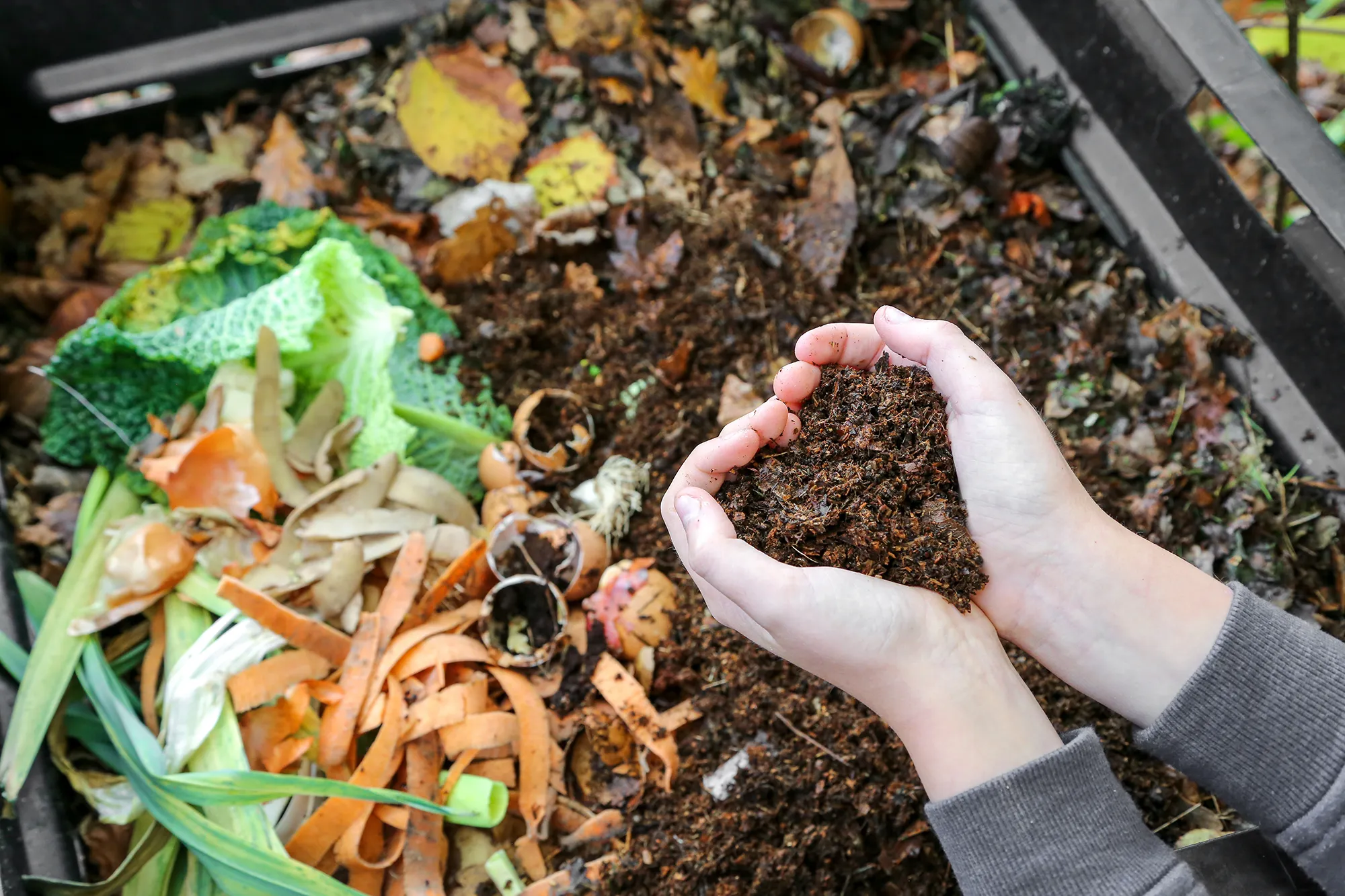 Start 2026 with the Gift of Sustainability: Why Composting Belongs in Your New Year Strategy